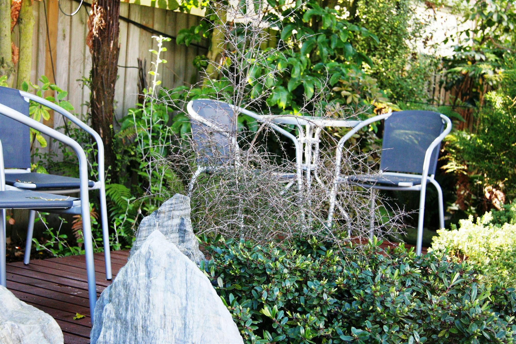 Sherborne Motor Lodge Christchurch Bagian luar foto